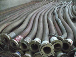 CARO HOSES SS